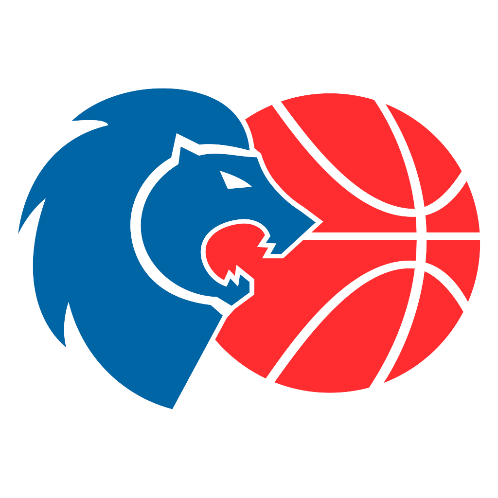 https://img.cgrmall.com/img/basketball/team/6162ac364afbbd81d48ee577b1105bd9.png