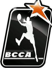 https://img.cgrmall.com/img/basketball/team/86eb4908777714248caec71cbbc0c7db.png