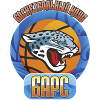 https://img.cgrmall.com/img/basketball/team/9008e0eb5cdc9f3e587e5838c6201832.png